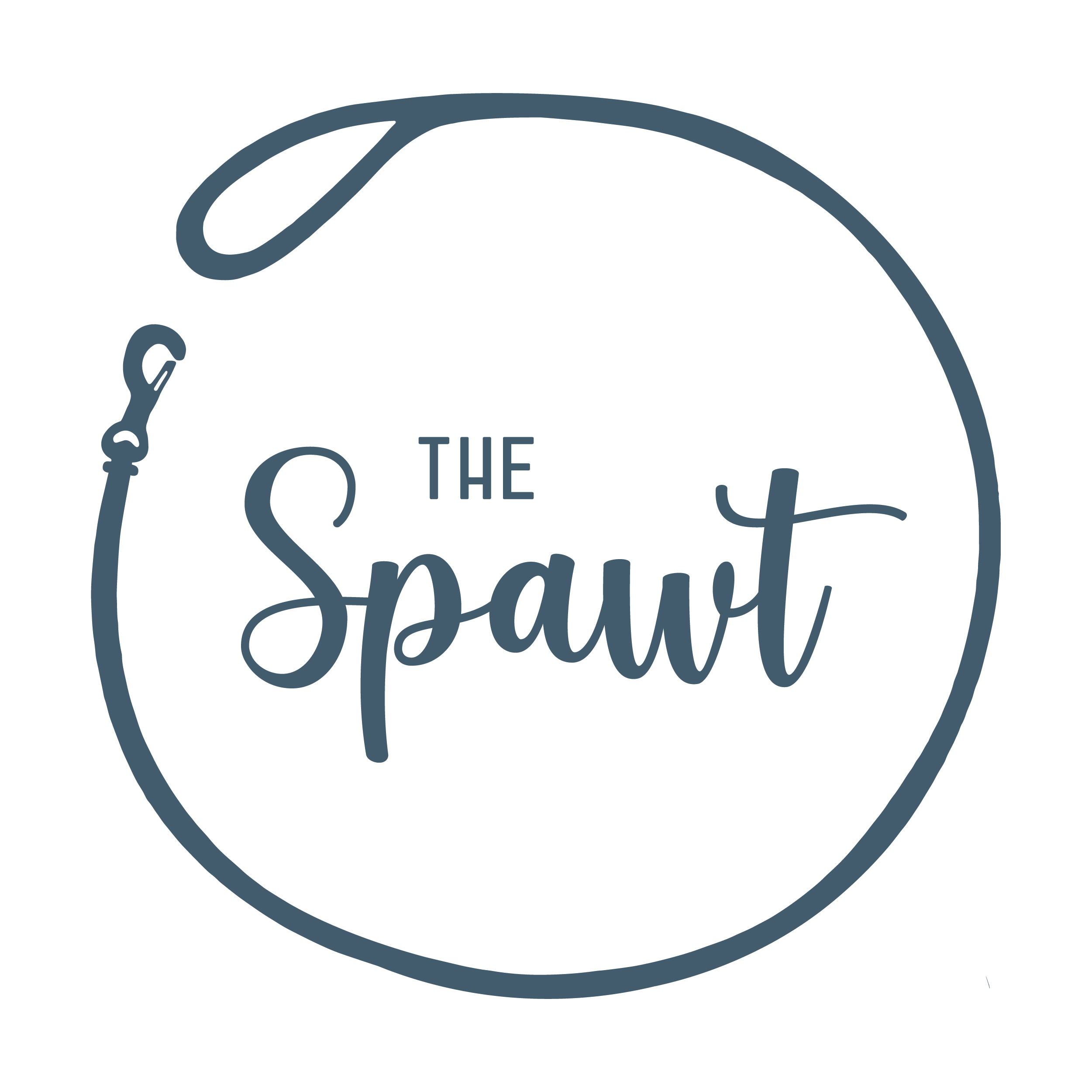 The Spawt Logo Blue