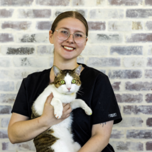 Team Photo Coming Soon